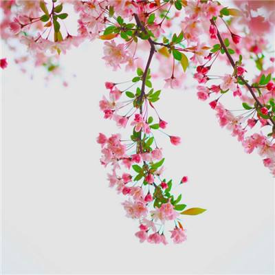 神雕online破解版下载